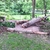 activity photo
