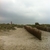 activity photo