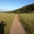 activity photo