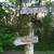 activity photo