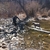 activity photo