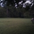 activity photo