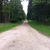 activity photo