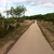 activity photo