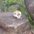 activity photo