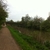 activity photo