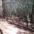 activity photo