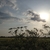 activity photo
