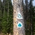 activity photo