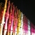 activity photo