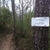 activity photo