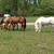 activity photo