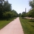 activity photo