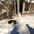 activity photo