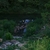 activity photo
