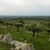 activity photo