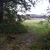 activity photo