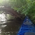 activity photo