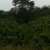 activity photo