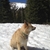 activity photo