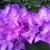 activity photo