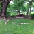 activity photo