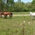 activity photo