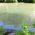 activity photo