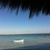 activity photo