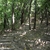 activity photo