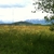 activity photo