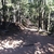 activity photo