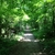 activity photo