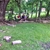 activity photo