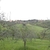 activity photo