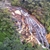 activity photo