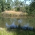activity photo