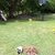 activity photo