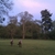 activity photo