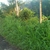 activity photo