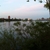 activity photo