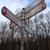 activity photo