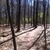 activity photo
