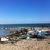 activity photo