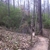 activity photo