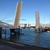 activity photo