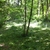 activity photo