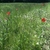 activity photo