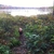 activity photo