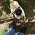 activity photo